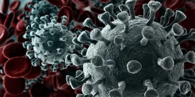 Власти Москвы сообщили об увеличении смертности в июне 2020 года