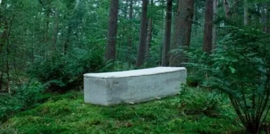 Нидерландский стартап запустил производство гробов из грибниц