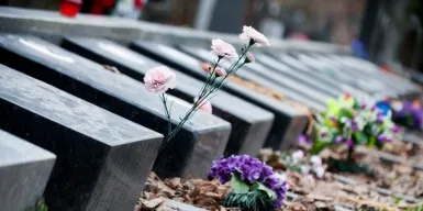 В подмосковном городе Дзержинском создадут новое кладбище