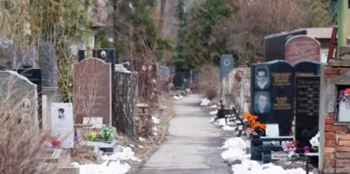 В Московской области завершен период благоустройства мест на кладбищах