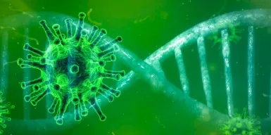 По данным ВОЗ, смертность от COVID-19 в Европе выросла в два раза