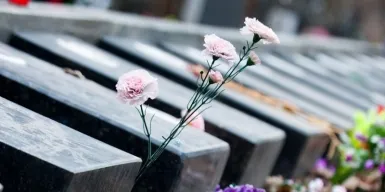 В Москве создадут единый сервис онлайн-доступа к кладбищенской информации 