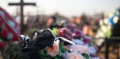 В похоронное законодательство Подмосковья внесены изменения