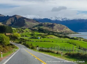 Эвтаназия в Новой Зеландии