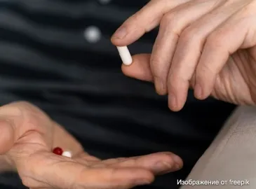 Какие факторы следует учитывать при принятии решения об эвтаназии