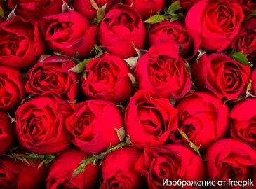 Какие цветы на похороны женщине