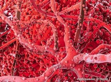 Какие вещества могут продуцировать раковые опухоли для подавления активности иммунной системы