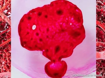 Как раковые опухоли снижают иммунный ответ организма