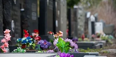 Крупнейшее кладбище в Москве появится в Троицком округе