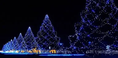 График работы ЗАГС Москвы в Новогодние праздники