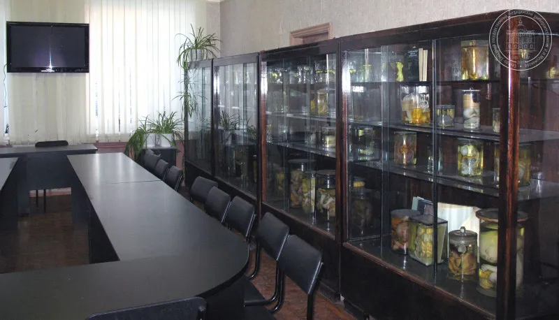 Музей судебной медицины в Санкт-Петербурге