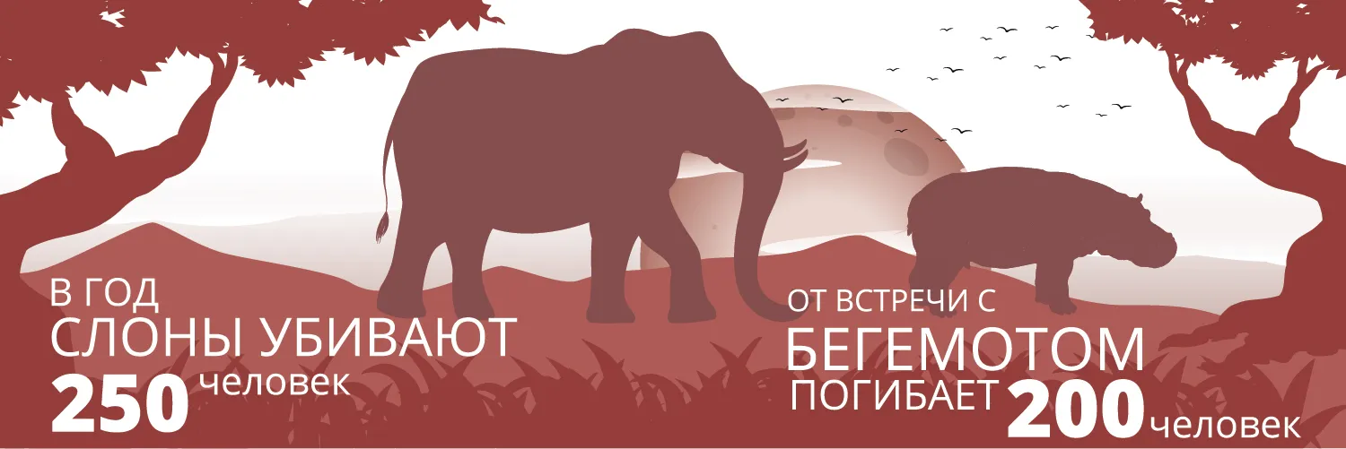  250 человек в год убивают дикие слоны и бегемоты