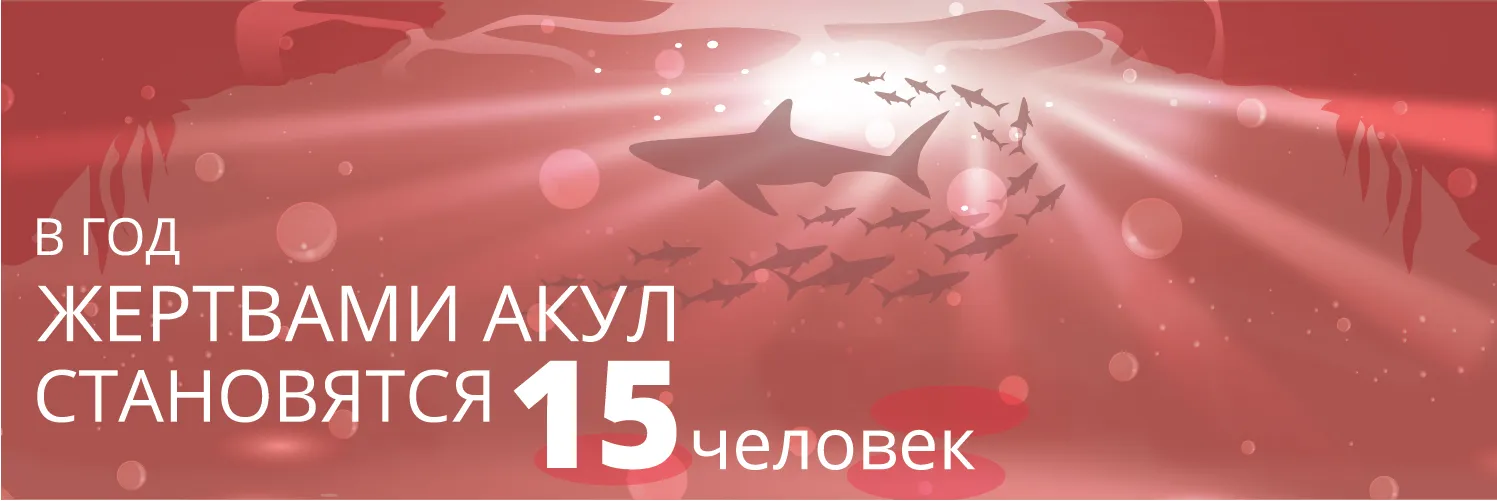 15 человек в год становится жертвами акул