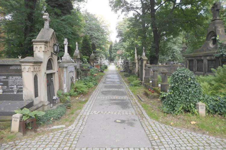 Раковицкое кладбище