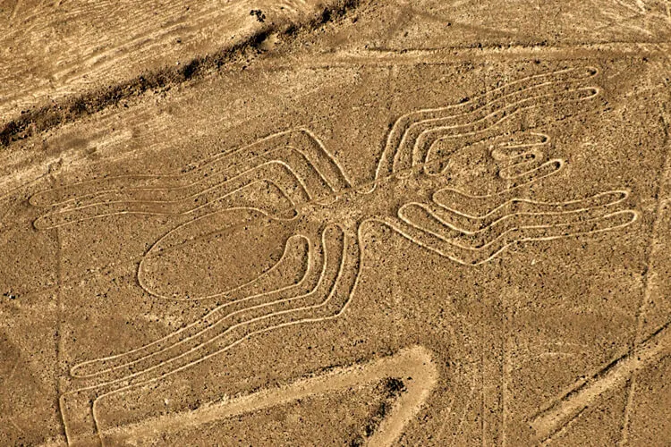 Ритуальные тропы Наска