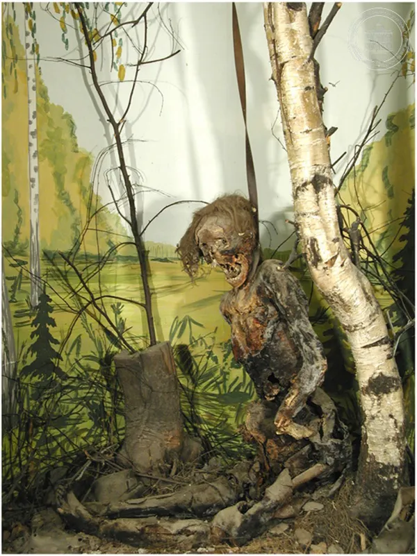 Музей судебной медицины в Санкт-Петербурге