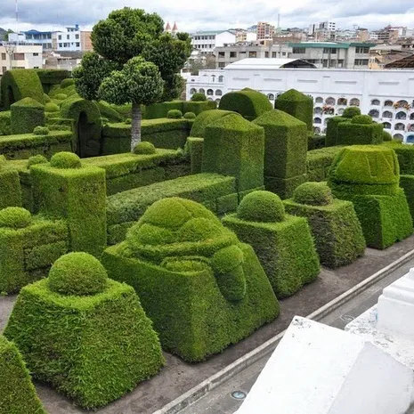 Топиарий-кладбище в Эквадоре Топиарий-кладбище в Эквадоре
