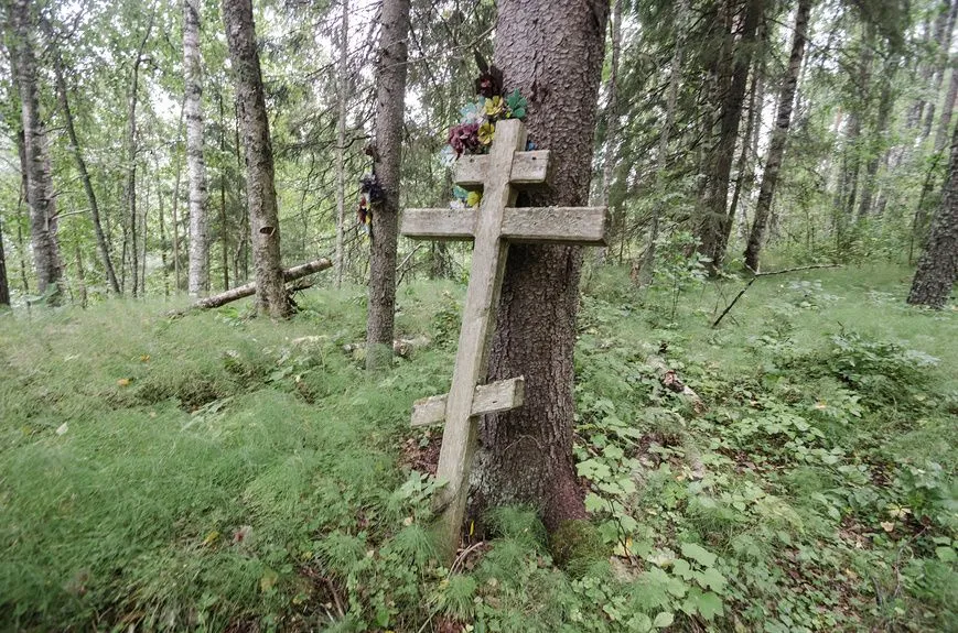 Дерево на могиле