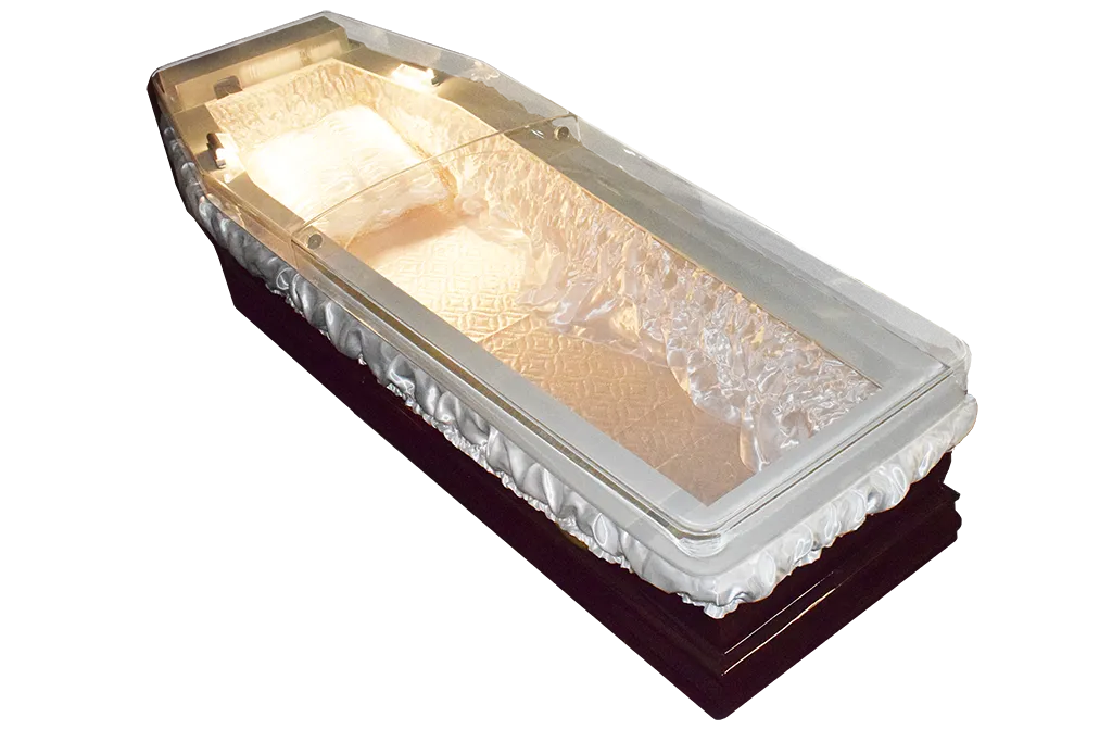 Ионизирующий футляр