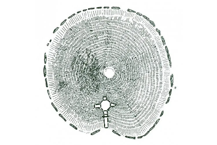 Коридорные гробницы Ирландии