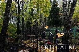 Большое Свинорье