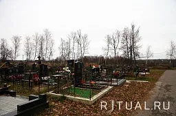 Товарищево-1