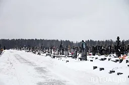 Алабушевское кладбище