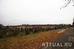 Товарищево-1