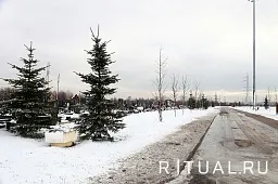 Никольское кладбище (Зеленоград)