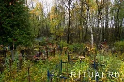 Большое Свинорье