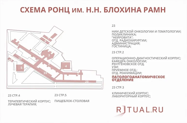 Схема онкологического центра им. Н.Н.Блохина