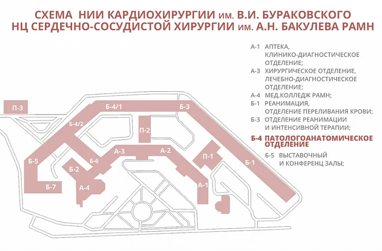 Схема НИИ сердечно-сосудистой хирургии им. А.Н.Бакулева