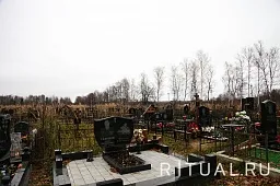 Товарищево-1