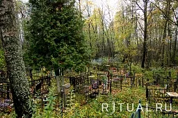 Большое Свинорье