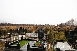 Товарищево-1