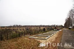 Товарищево-1