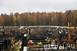 Николо-Хованское кладбище