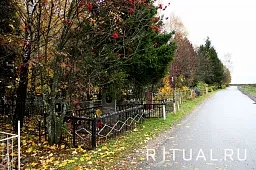 Большое Свинорье