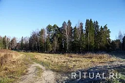 Ястребковское кладбище