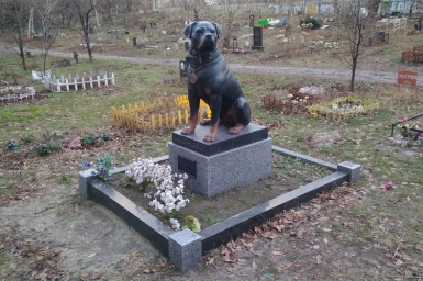 Почему животных не хоронят на человеческом кладбище