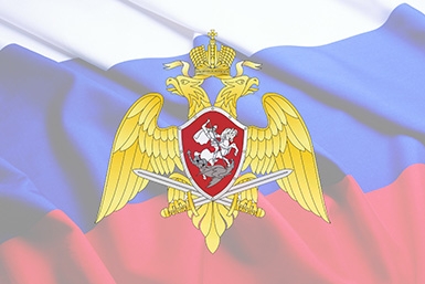 Пособие на погребение пенсионера Росгвардии и внутренних войск МВД в 2021 году