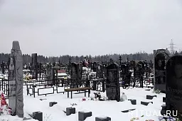 Алабушевское кладбище