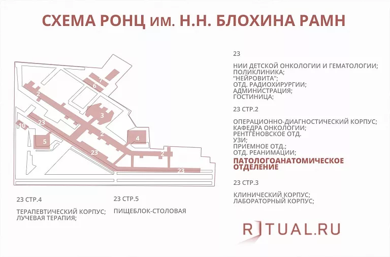 Схема корпусов центра блохина