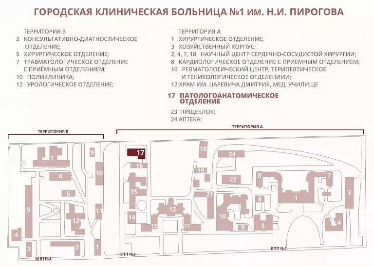 Первая градская схема корпусов