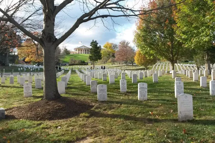 Деревья на кладбище кому принадлежат