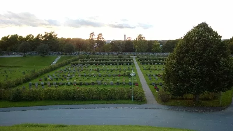 Новые кварталы для погребения на Лесном кладбище