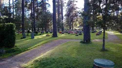Окружающая природа на Лесном кладбище